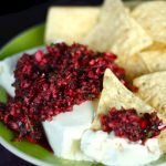 Cranberry Salsa