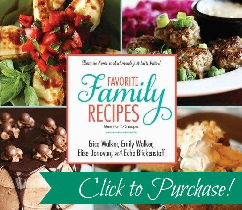 Favorite Family Recipes Book