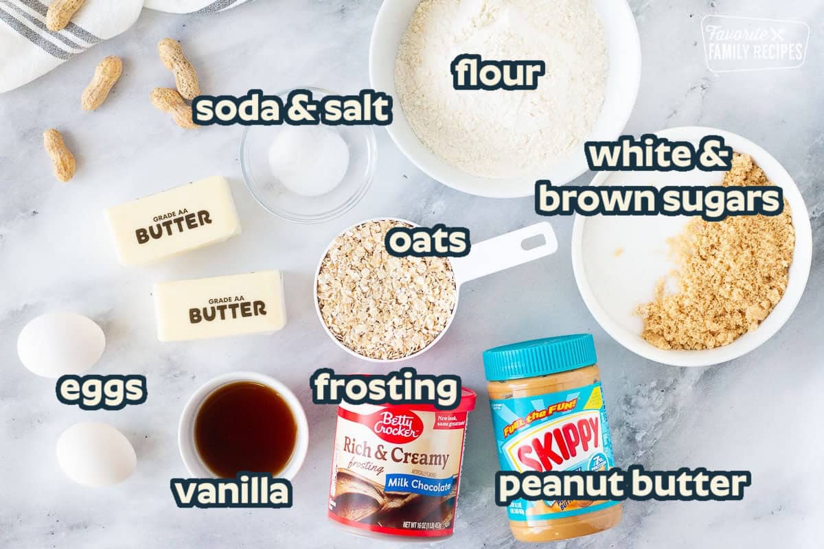 This Peanut Butter Bars Recipe with chocolate frosting reminds me of the yummy homemade bars served with school lunch in my hometown. Only 30 minutes to make! Ingredients for Lunch Lady Bars including butter, eggs, vanilla, milk chocolate frosting, peanut butter, sugars, flour, oatmeal, salt and baking soda.