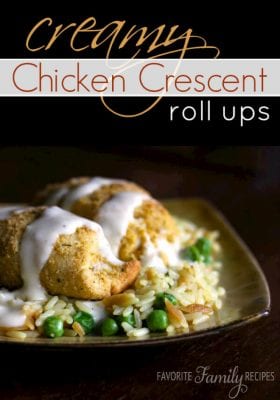 Shredded chicken filling in a crescent roll coated in bread crumbs
