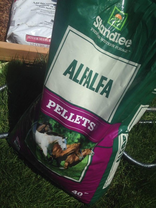 alfalfa pellets