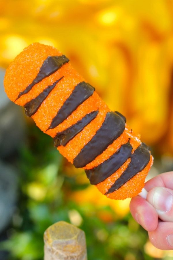 A visit to the Happiest Place on Earth wouldn't be complete without some of the most magical treats! From Dole Whip to Monte Cristos, check out our Favorite Foods at Disneyland. Tigger tails being held by a stick.