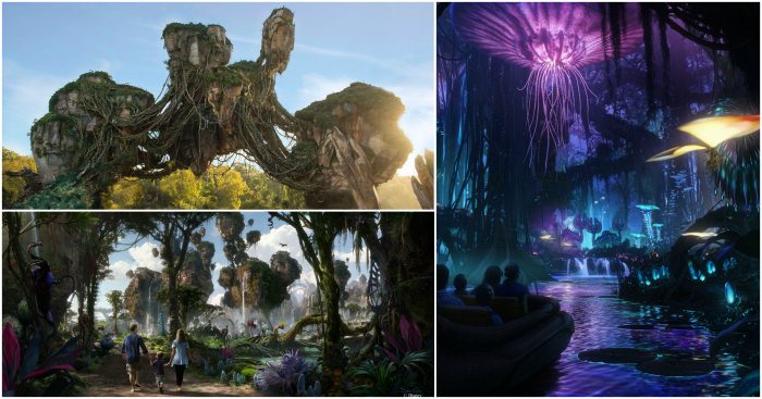 There were so many incredible experiences that I had last week at the Disney World Social Media Moms Celebration, I have been so excited to come back and share them with all of you! Pandora the World of Avatar.