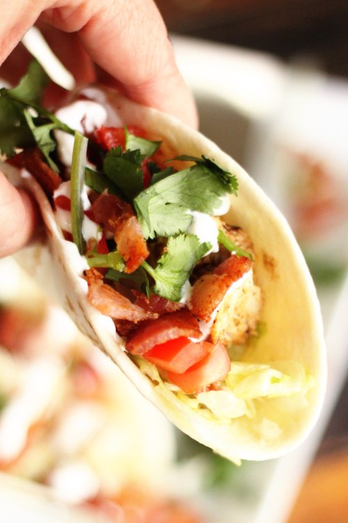 Close up of a Grilled Chicken BLT Taco.