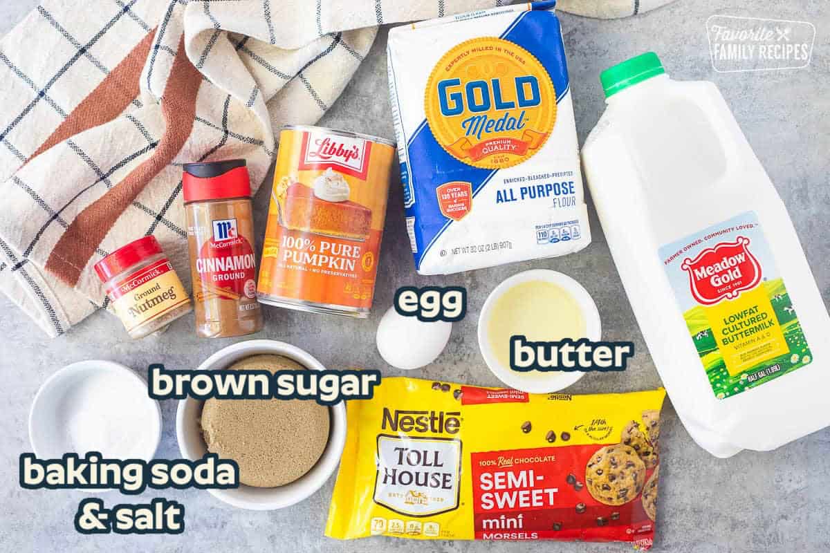 Pumpkin Bread Ingredients on a countertop: pumpkin, flour, egg, butter, brown sugar, cinnamon , nutmeg, and chocolate chips.