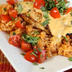 Mexican chicken served on a bed of rice topped with chopped tomatoes and cilantro