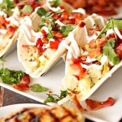 Grilled Chicken BLT Tacos on a white plate.