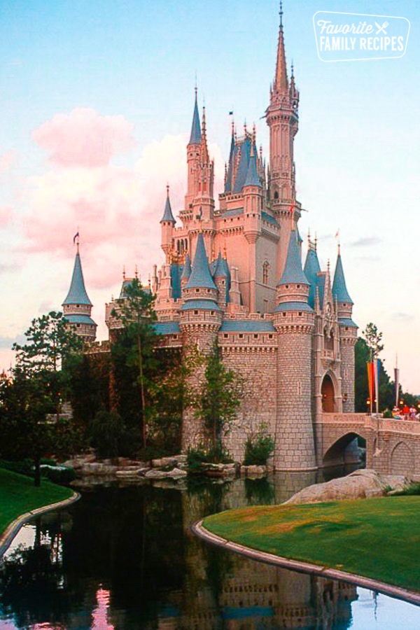Disney World castle. 