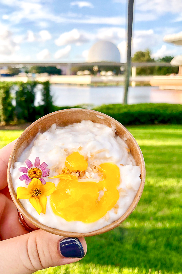 Coconut Rice Pudding from the Mexico Global Marketplace at the Epcot Food and Wine Festival.