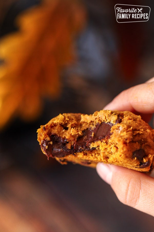 pumpkin chocolate chip cookies – only 3 ingredients!