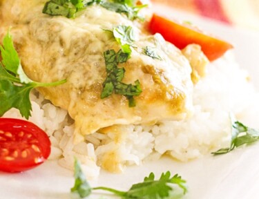 Salsa Verde Chicken over rice served on a plate topped with cilantro and chopped tomatoes