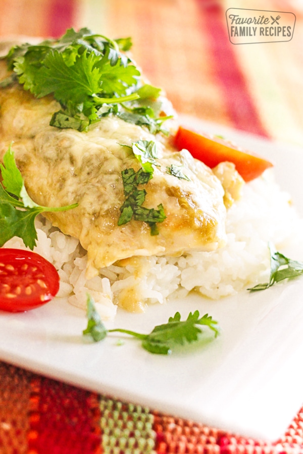 Salsa Verde Chicken over rice served on a plate topped with cilantro and chopped tomatoes.