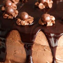 Chocolate malt cake with chocolate malt icing on a white plate.