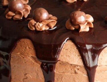 Chocolate malt cake with chocolate malt icing on a white plate.