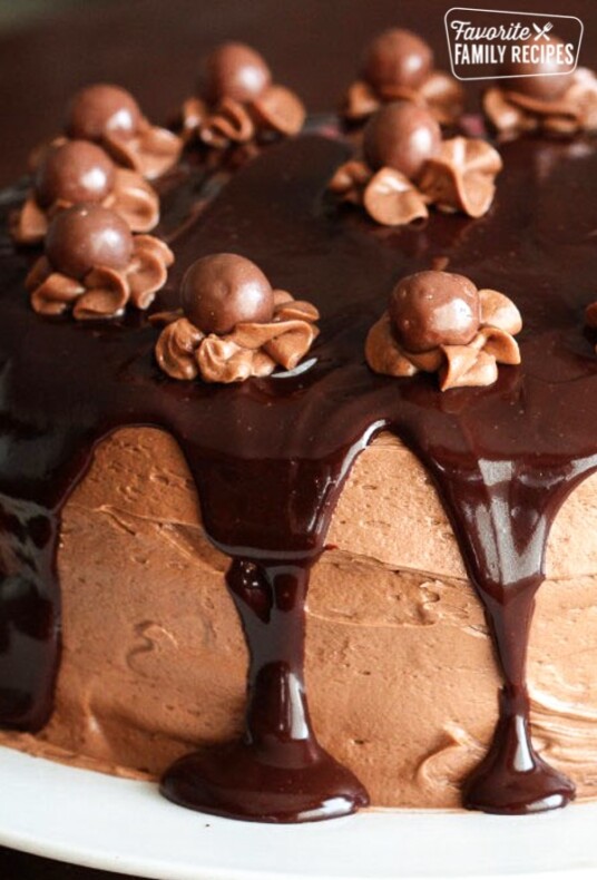 Chocolate malt cake with chocolate malt icing on a white plate.