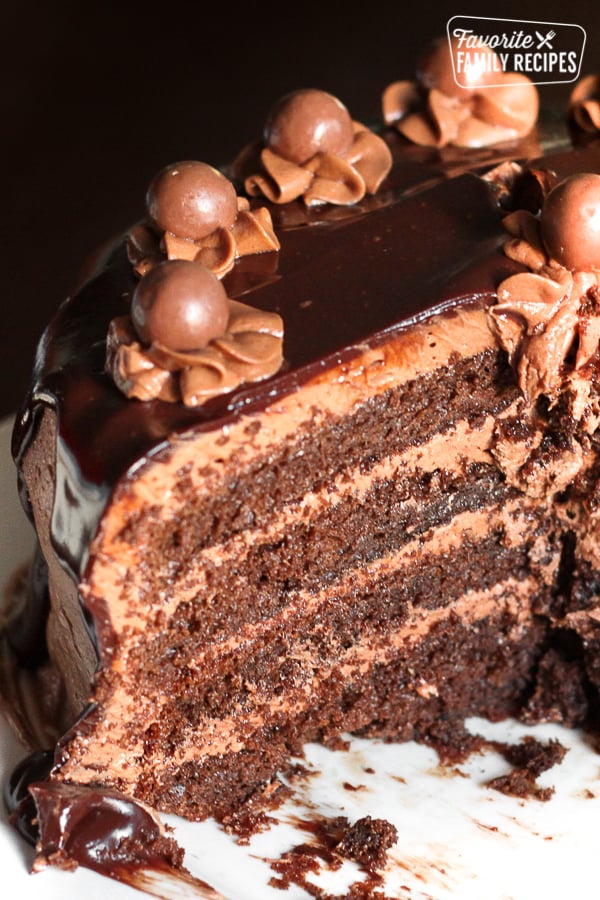 Chocolate Malt Cake with Chocolate Malt Icing Cut Open So You Can See The Layers