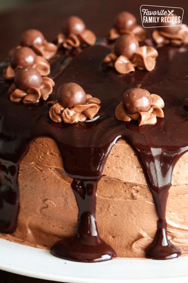 Close up of Chocolate Malt Cake with Chocolate Malt Icing
