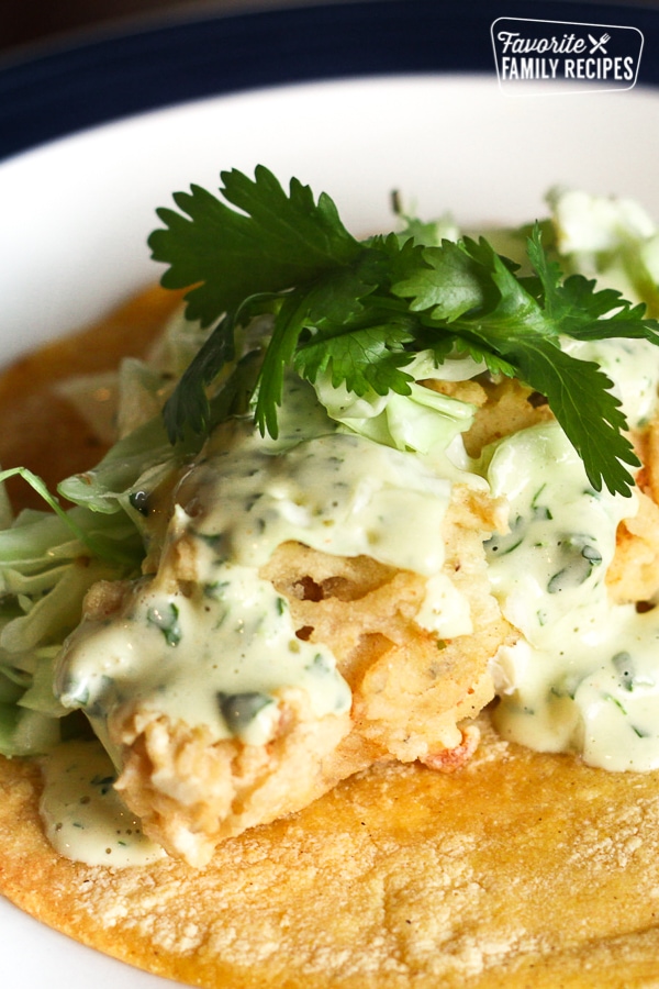 Halibut Tacos topped with cabbage and cilantro.