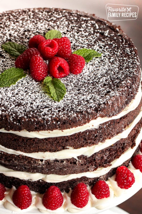 Close shot of the ridiculously delicious chocolate cake with raspberry garnish.