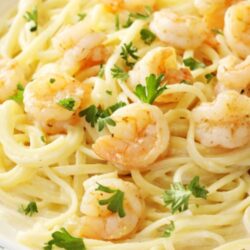 Shrimp Alfredo in a pasta bowl