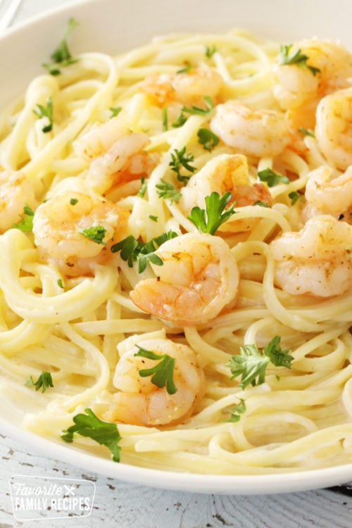 Shrimp Alfredo in a pasta bowl