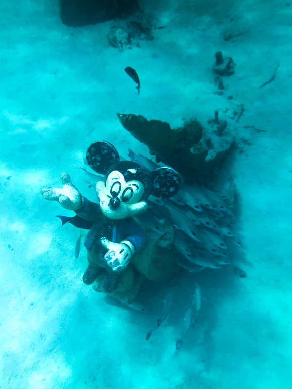 Mickey in the ocean at the bottom of Castaway Cay. 