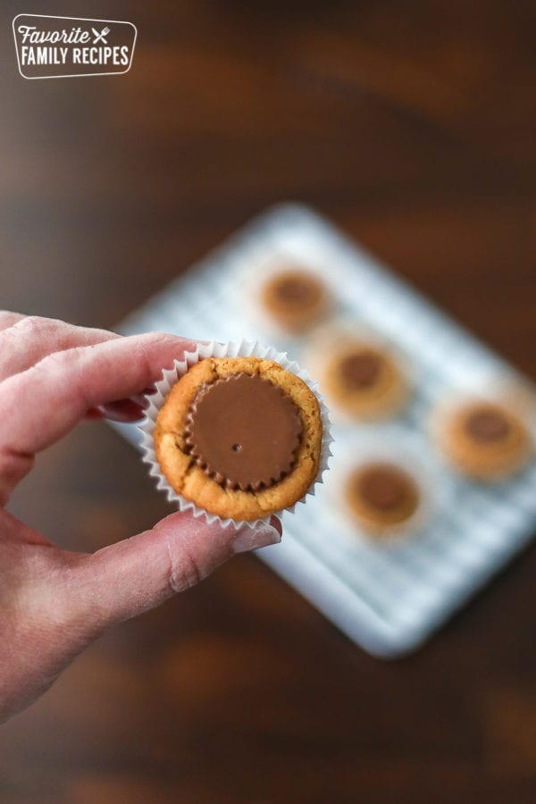 A Reese's Peanut Butter Cookie being held up for a close-up look