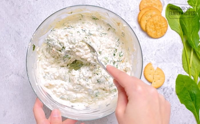 Easy Spinach Dip Recipe - 27