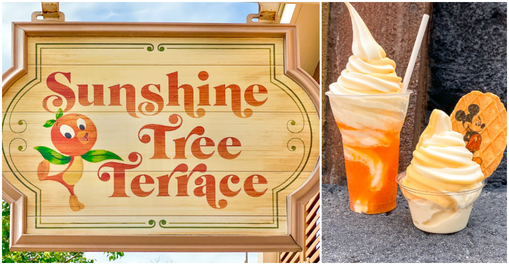 Sunshine Tree Terrace on a sign and two dole whips. 