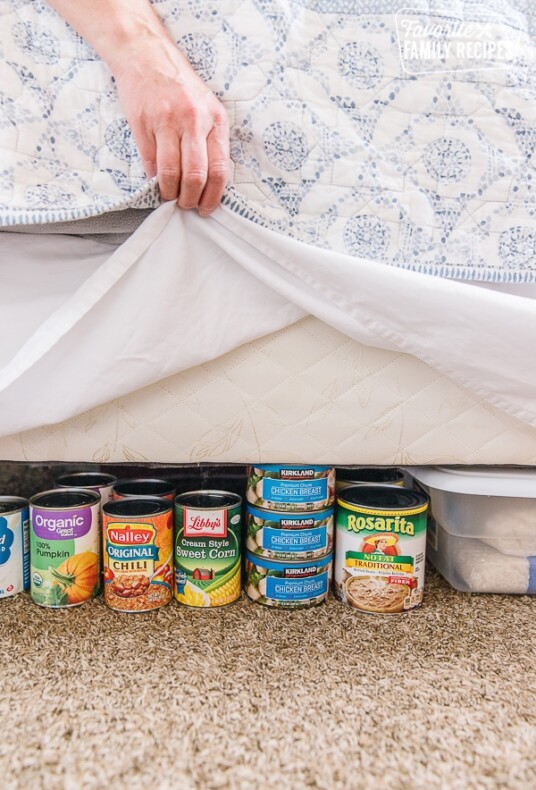 Food storage hidden under a bed