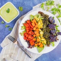 rainbow buddha bowl with creamy avocado dressing on a blue background with a fork.