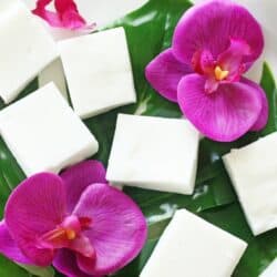 Haupia squares on a leaf on a plate with orchid flowers