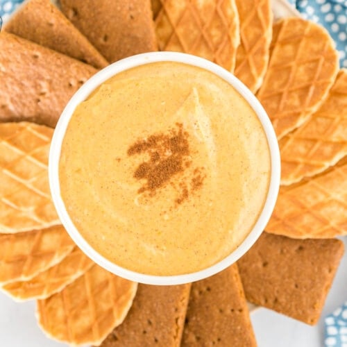 Pumpkin dip in a bowl sprinkled with cinnamon