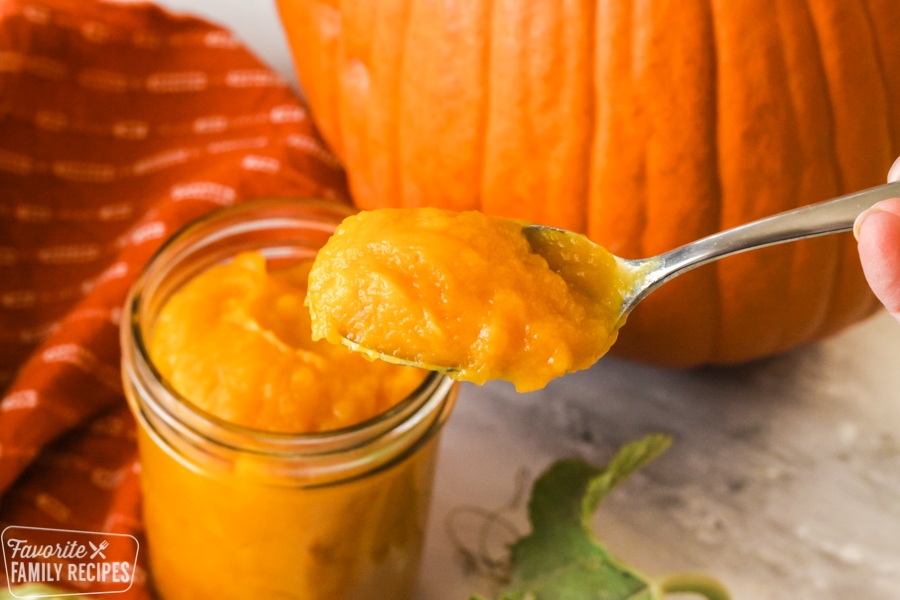 Spoonful of pumpkin puree.