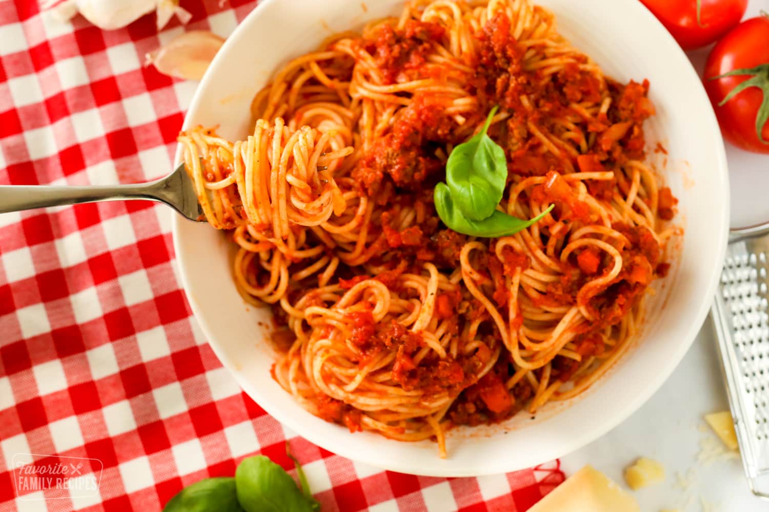 Pasta bowl of spaghetti with a fork