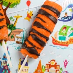 Closeup of Tigger tail on a placemat