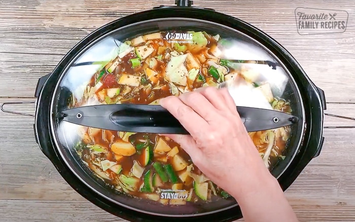 Cooking Soup in a Slow Cooker