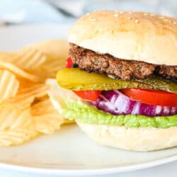 A hamburger on a plate with pickles, lettuce, tomato, and red onion and a side of wavy potato chips