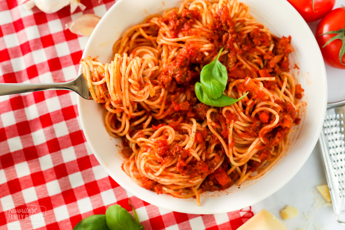 Pasta bowl of spaghetti with a fork.