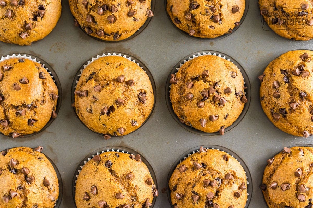 A close up of pumpkin chocolate chip muffins in a muffin tin