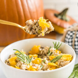 A spoonful of dinner in a pumpkin casserole