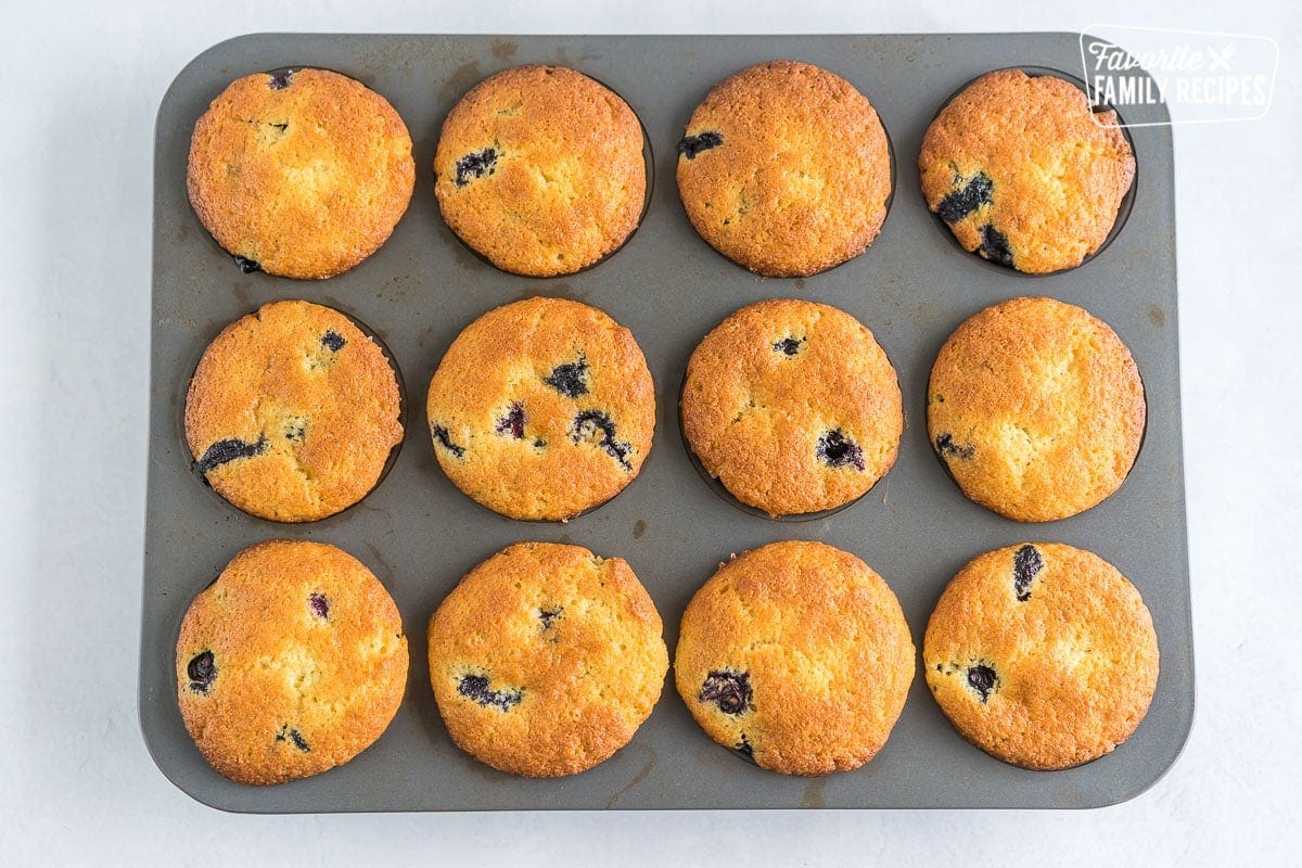 Baked blueberry muffins in a muffin tin