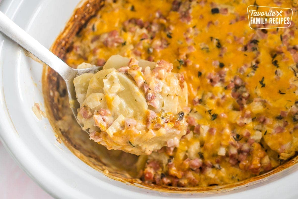 A scoop of crock pot scalloped potatoes with ham