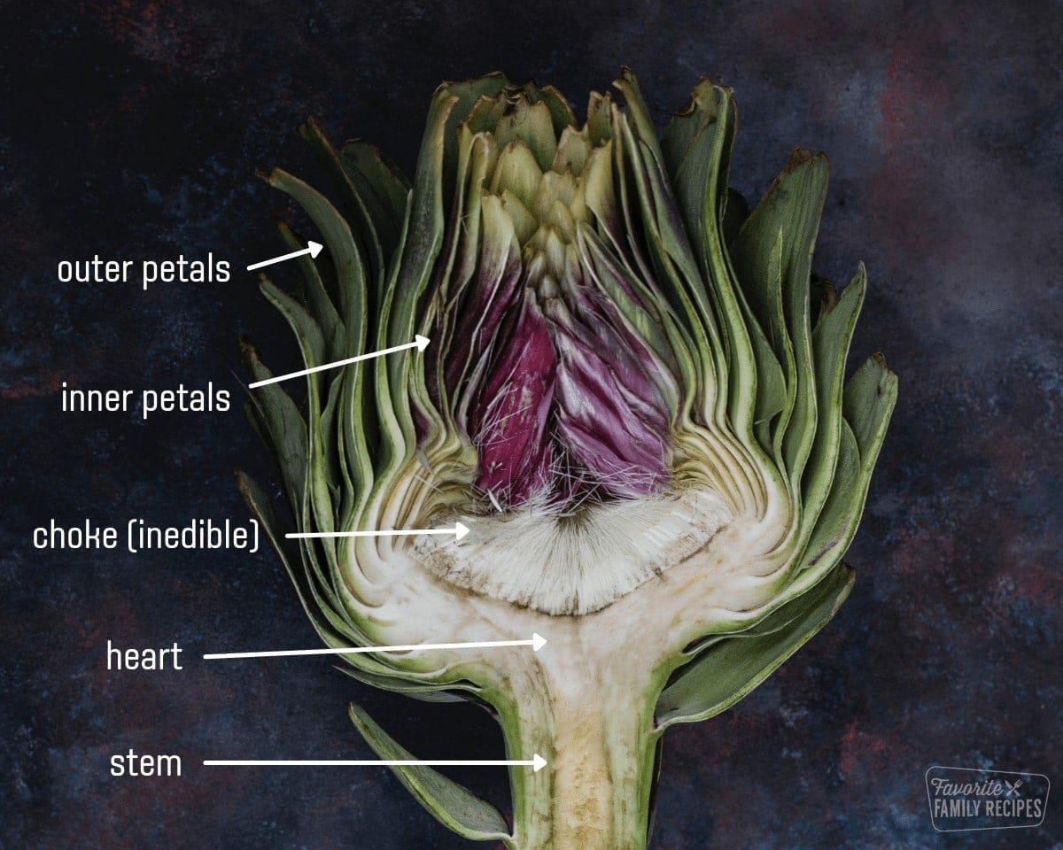 A picture of an artichoke with the different parts labeled