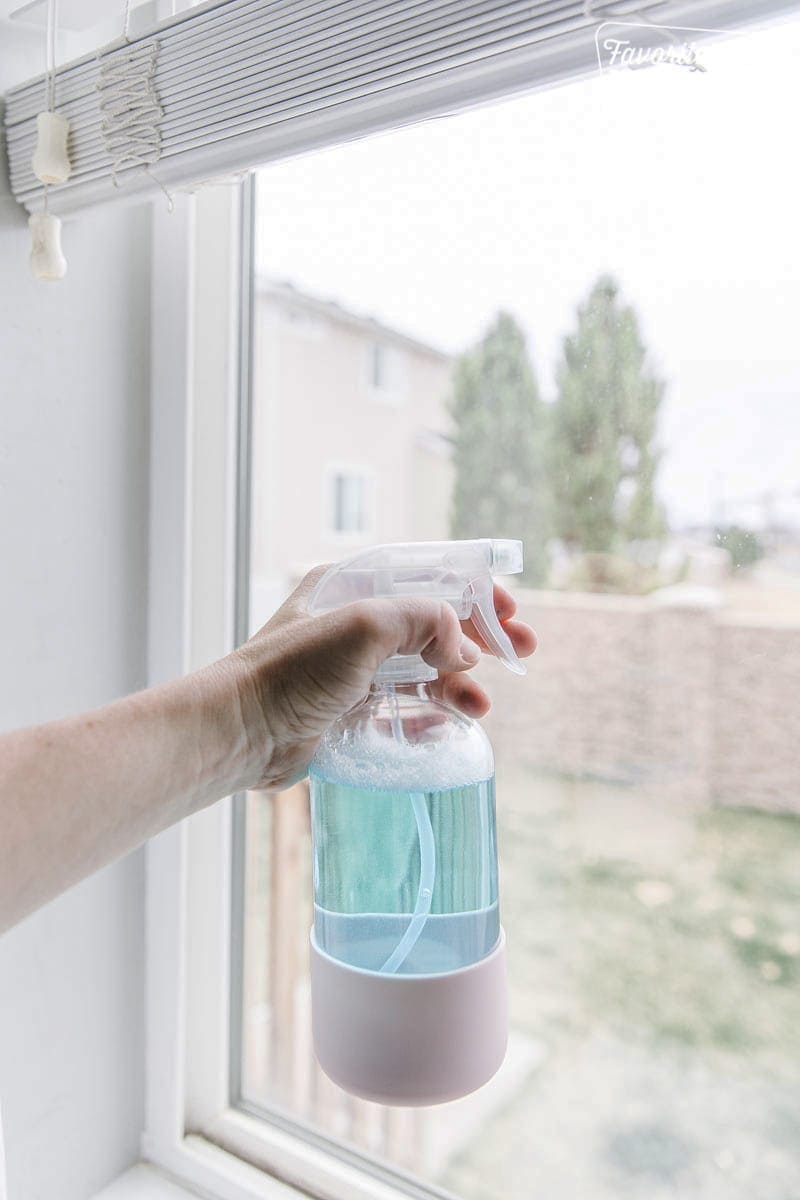 Homemade Window Cleaner