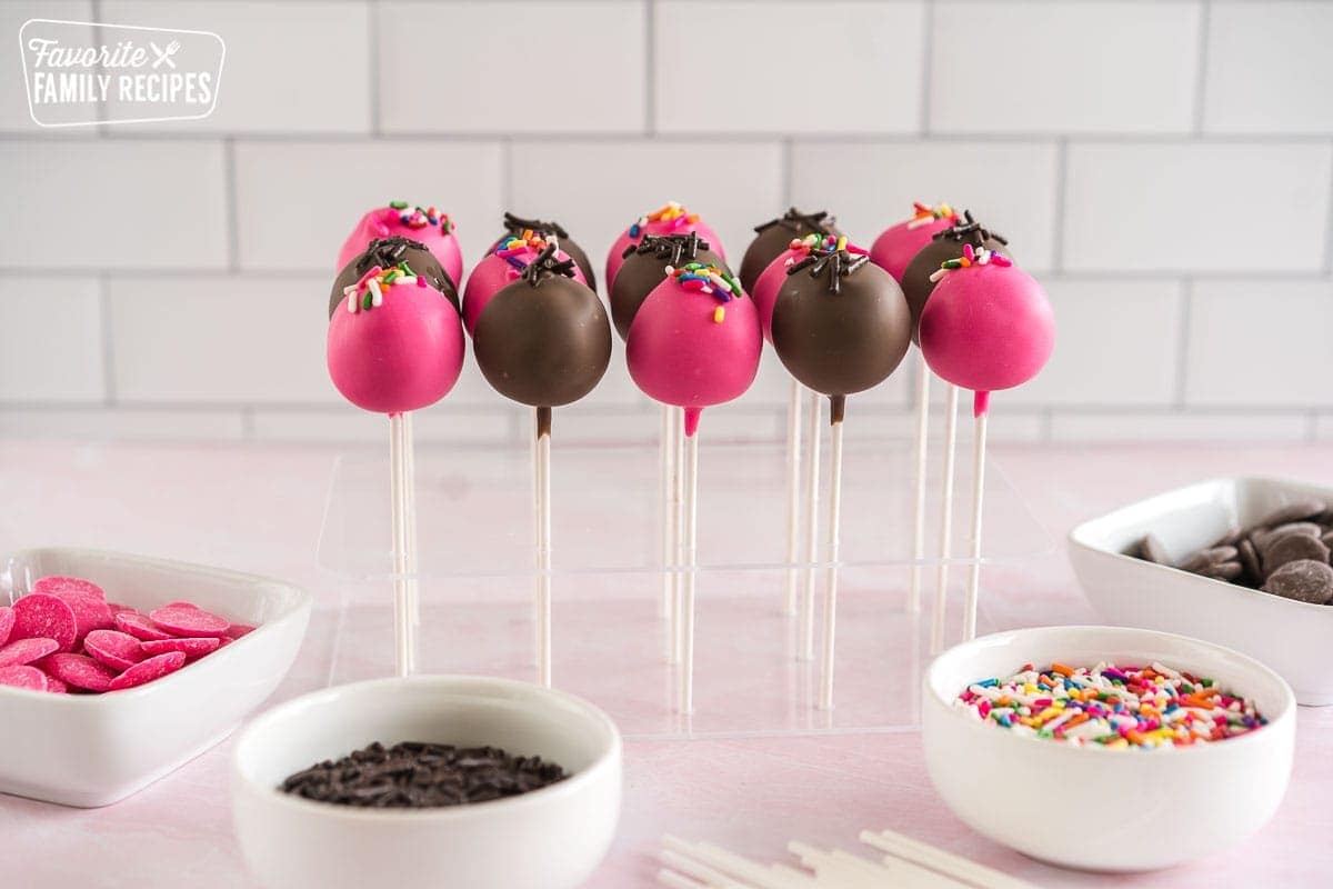 Birthday Cake and Chocolate Cake Pops stood up in an acrylic stand with bowls of sprinkles around them