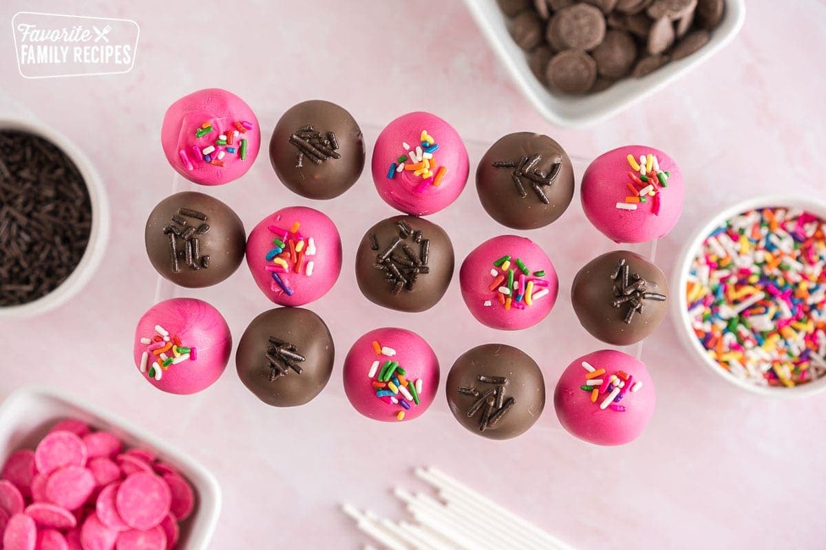 Birthday Cake and Chocolate Cake Pops stood up in an acrylic stand with bowls of sprinkles around them