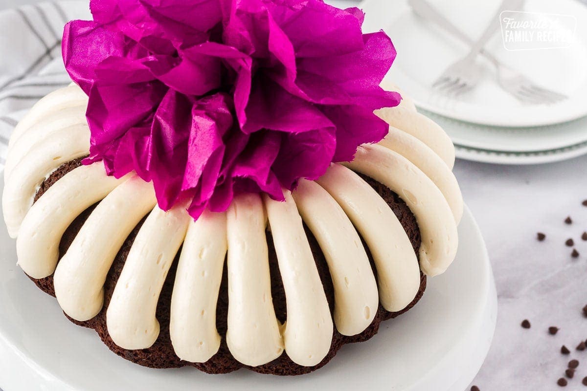 Side Close up view of a frosted Chocolate Nothing Bundt Cake with pom pom decoration.