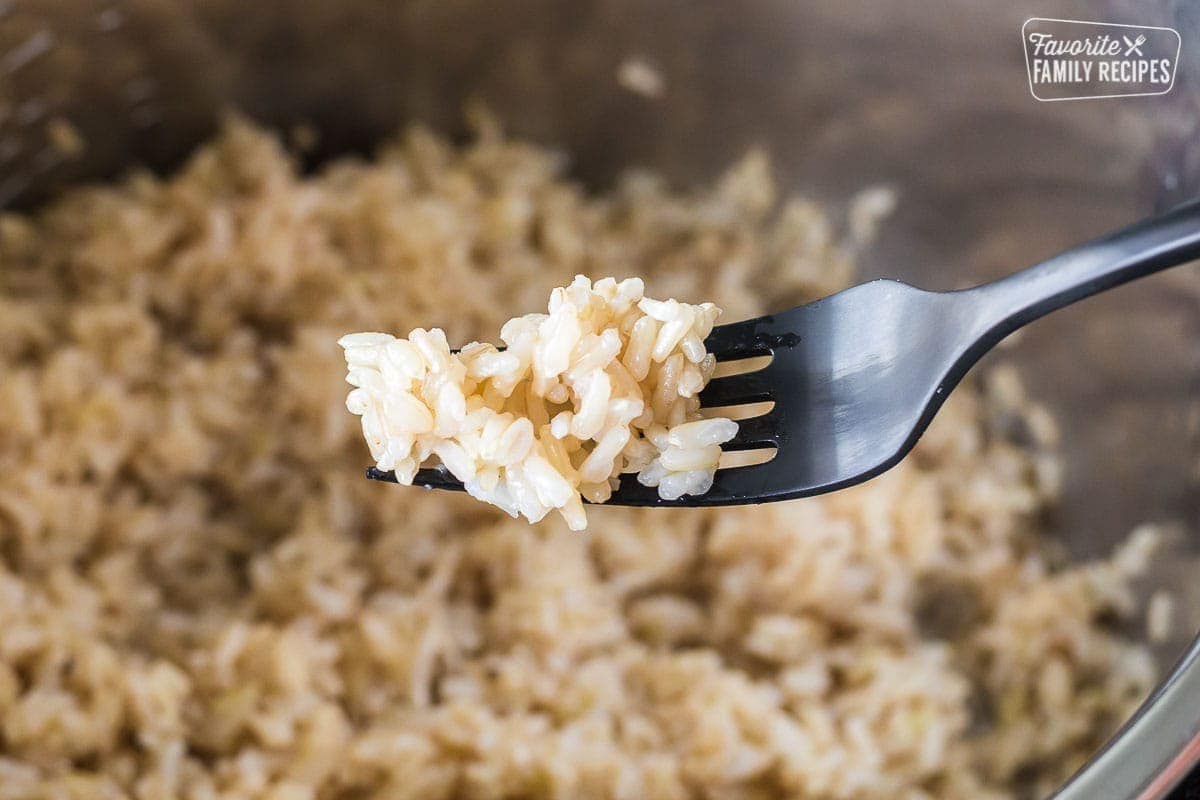 A very close up view of cooked Instant Pot brown rice on a fork.