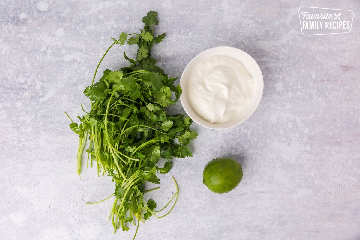 Ingredients for cilantro cream sauce